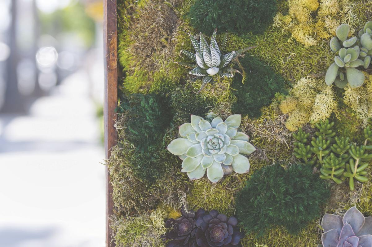 Chesterfield Valley Nursery Talks New Local Landscaping Trend