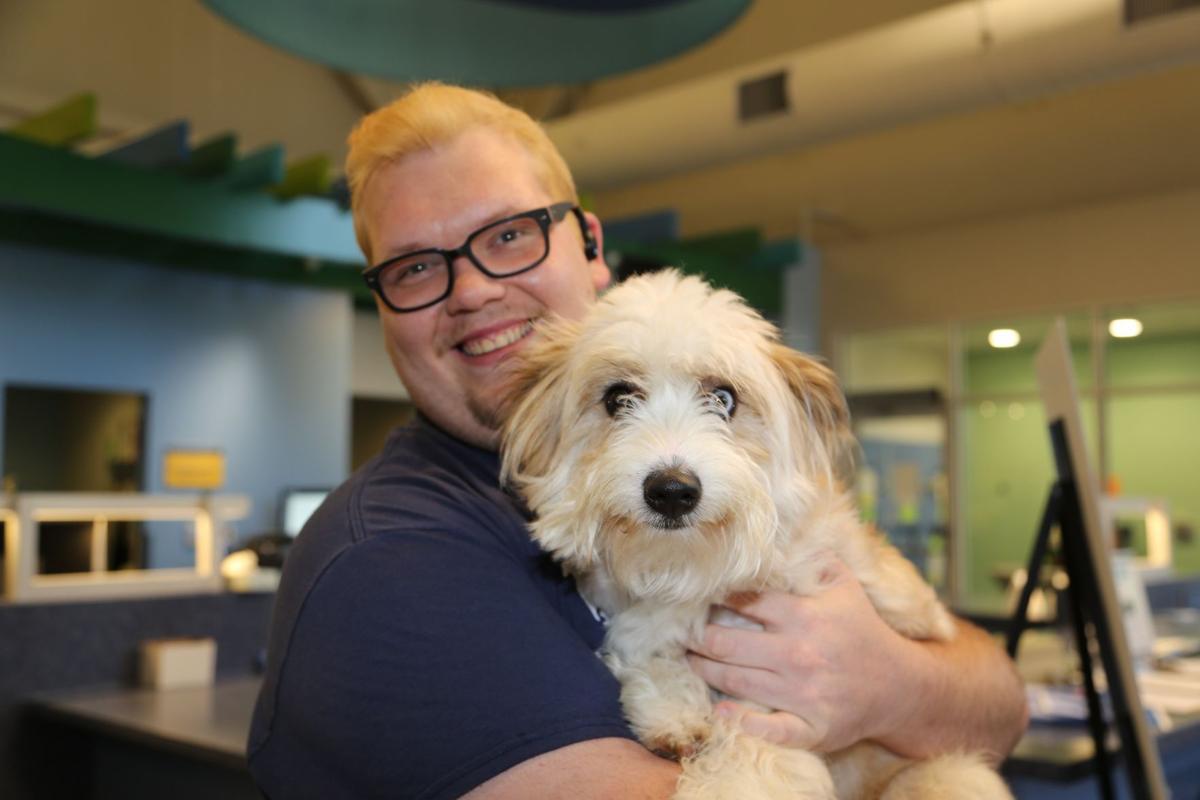 Stephen Chamineak, "Meerkat" adoptable