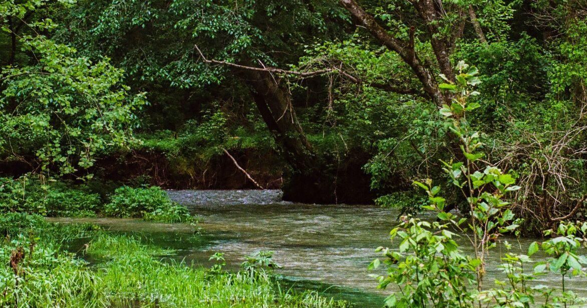 Where to take a float trip within 3 hours of STL this summer