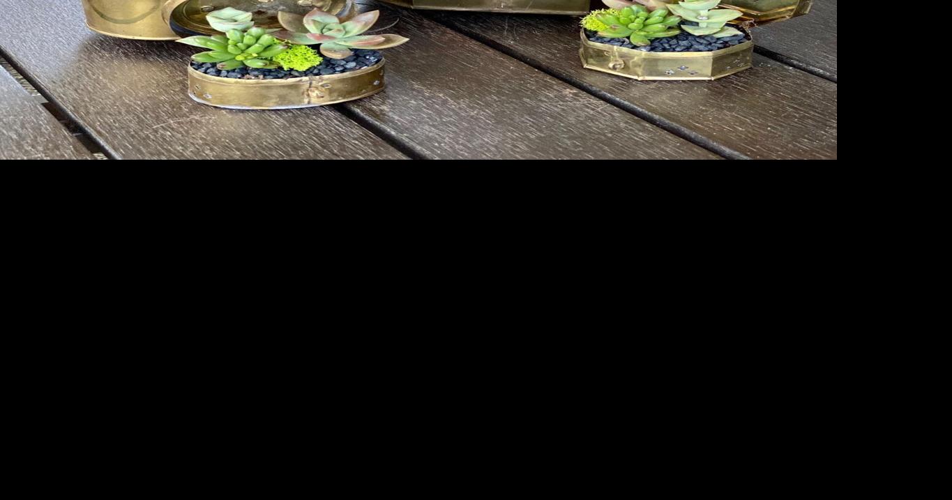 Kirkwood Upcycling Business Twig and Tarnish Plants Succulents in