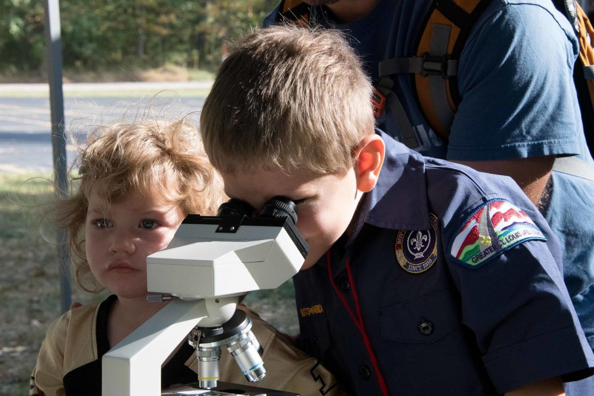Cub Male Microscope.jpg