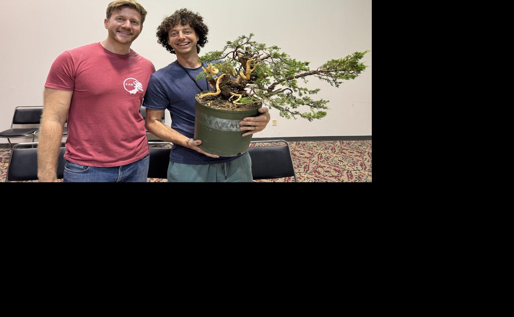What to know about houseplants' most sophisticated specimens