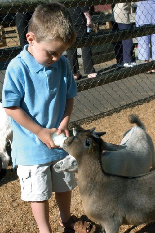 lil7-GrantFarm4_0525.jpg