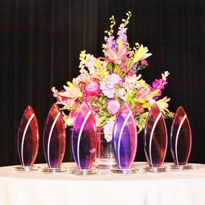 04.25.16-St.Louis-Visionary-Awards-23.JPG