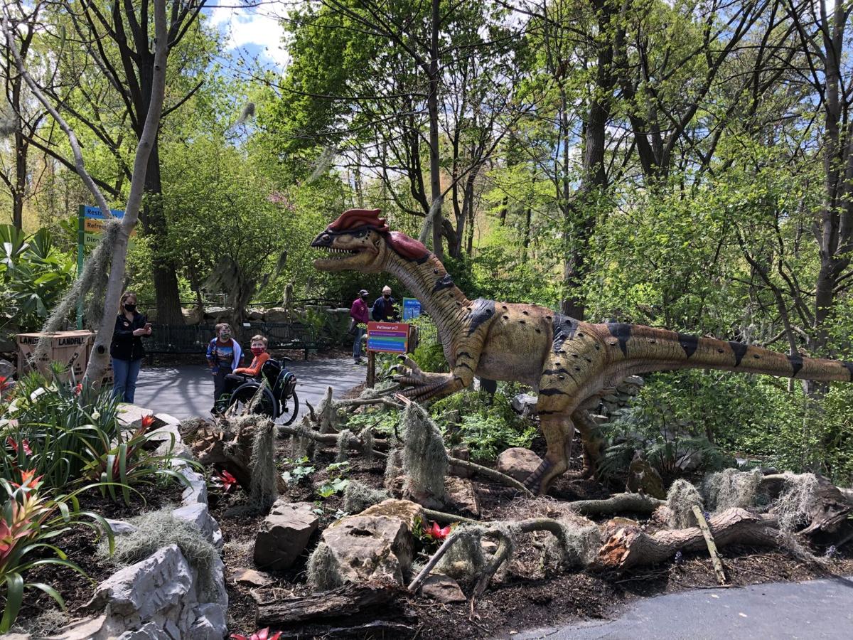 new dinosaur exhibit