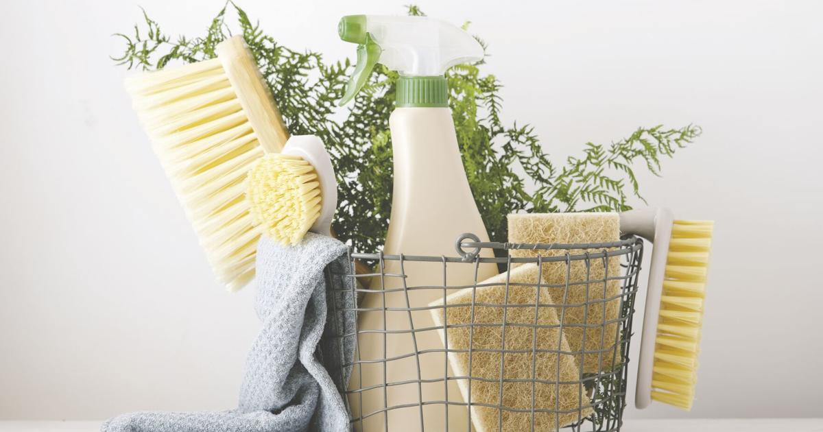 Expert Advice on Purifying and Disinfecting Your Home This Spring | Health