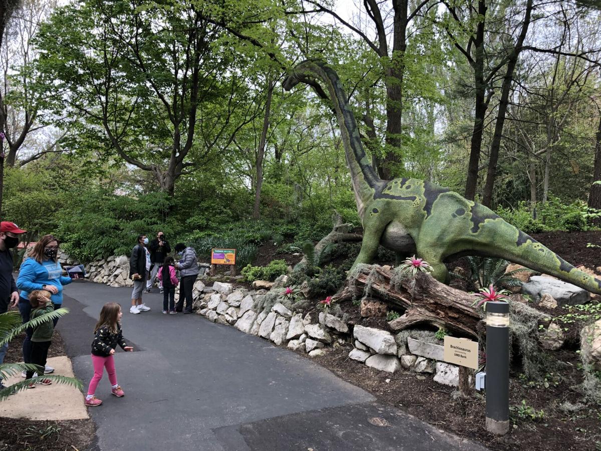 Saint Louis Zoo's New Dinosaur Exhibit Transports Families to a Land of ...