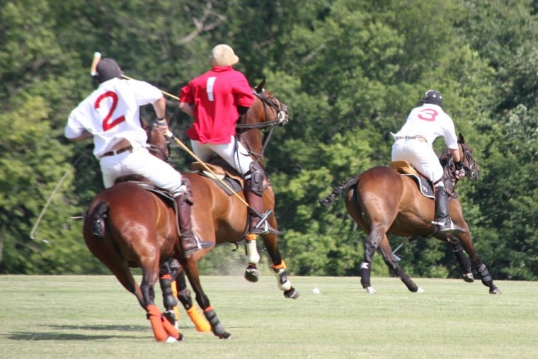 WolfPolo