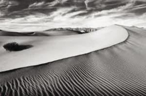 BWPhoto.jpg