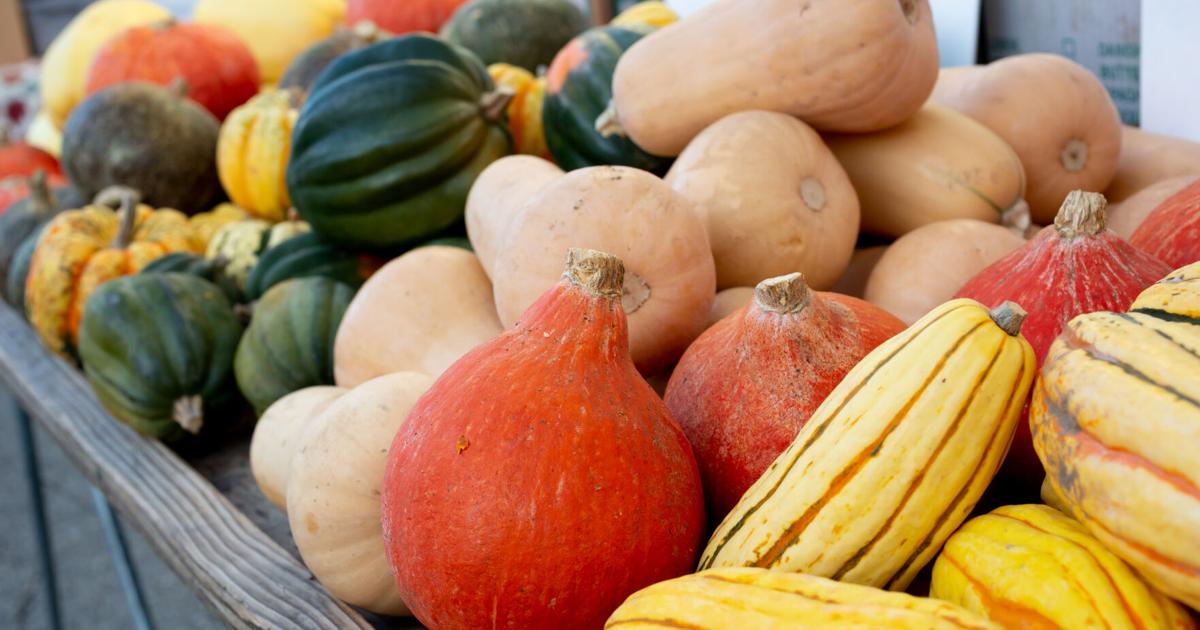 Squashed Order squash varieties