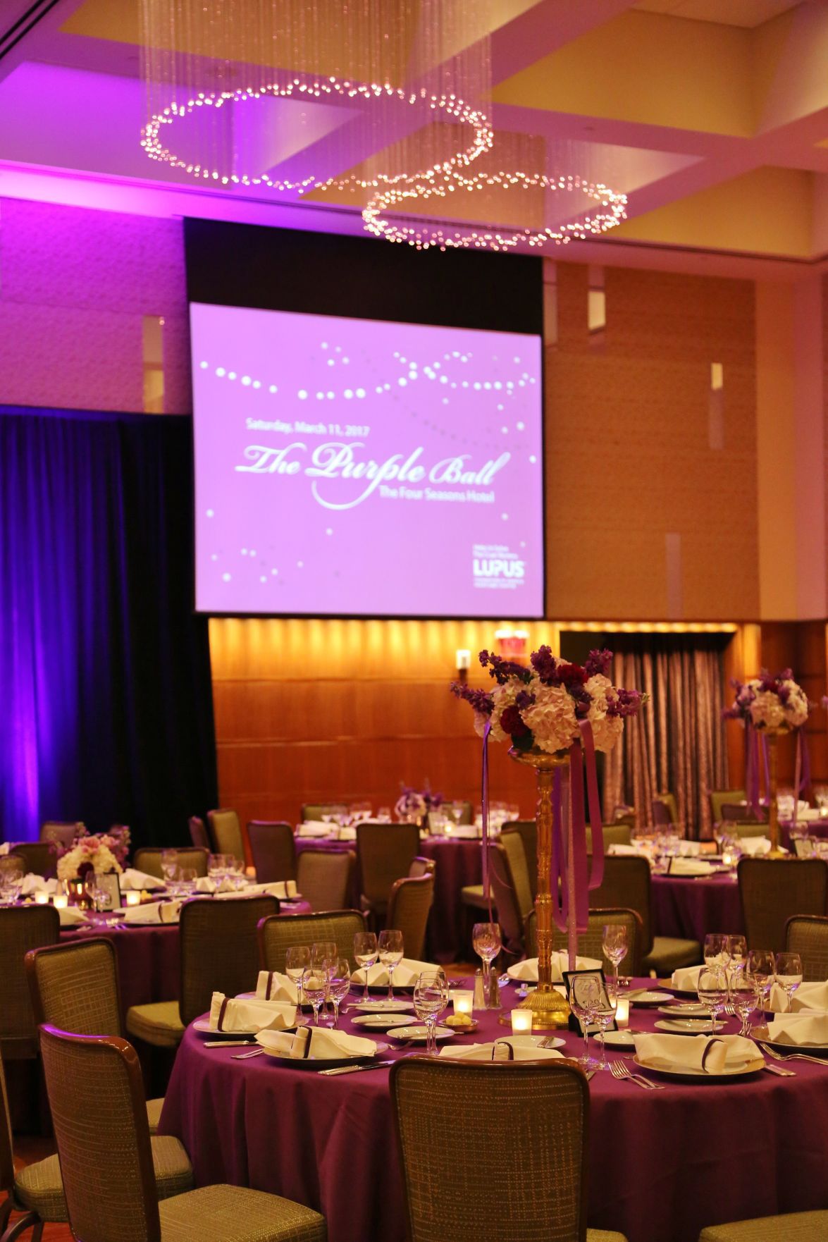 2017-Lupus-Gala0022.JPG
