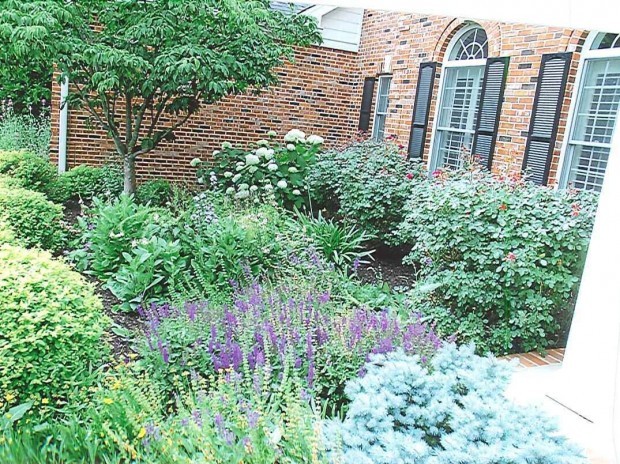 Fabulous Gardens Laduenews
