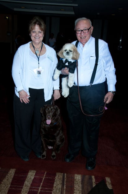 Support Dogs Tacky Ball