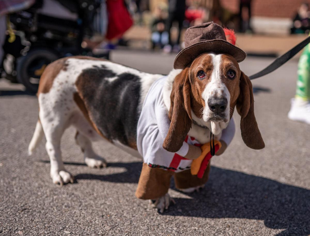 Pet Parade 2021.jpeg