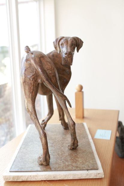 AKC Museum of the Dog