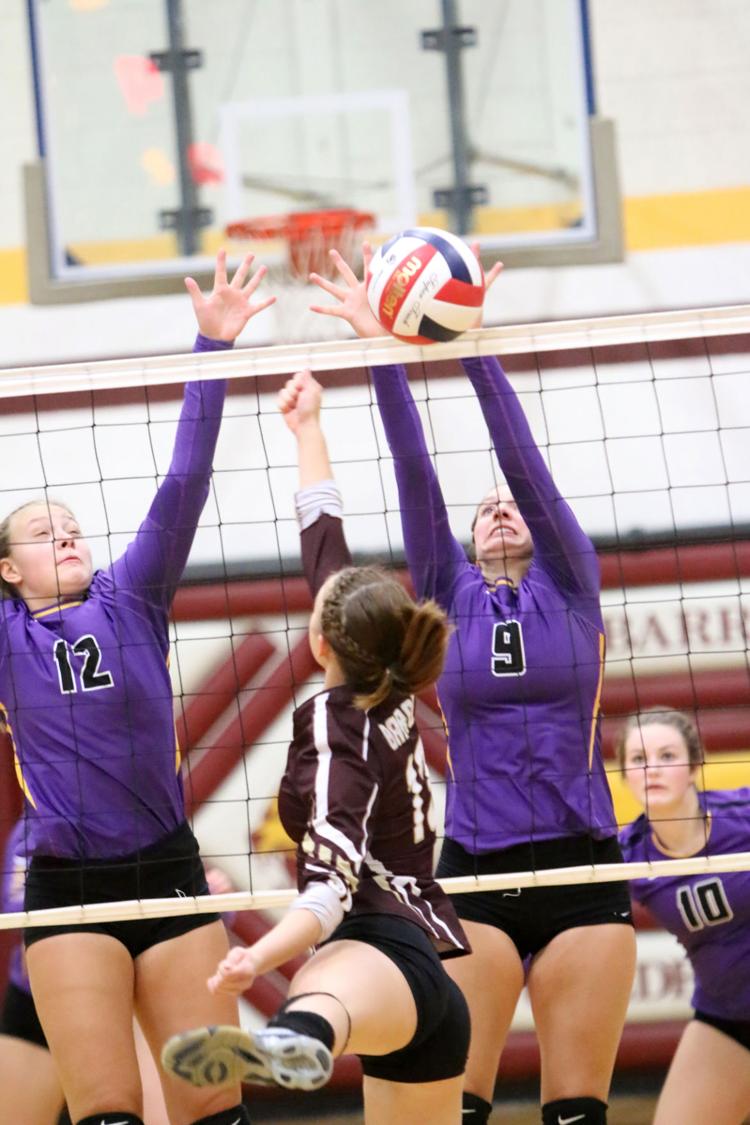 Ladysmith volleyball plays in Barron tourney Sports