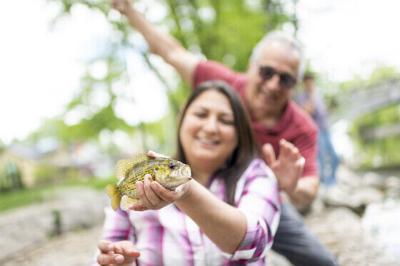 Rock bass