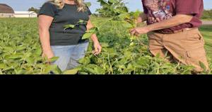 Healthy soil for the farm's future | News | ladysmithnews.com - Vimarsana News