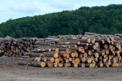 Lumber pile