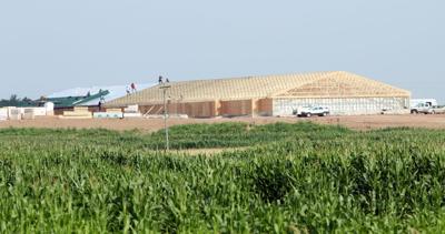 Glen Flora pig farm construction underway