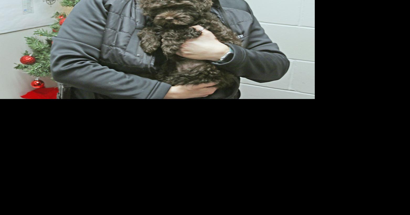 New K9 officer gets a round of ‘a paws’ | News | ladysmithnews.com