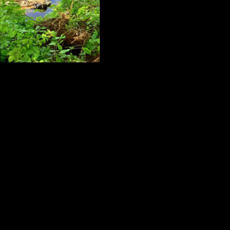 Body recovered from truck in river | News | ladysmithnews.com