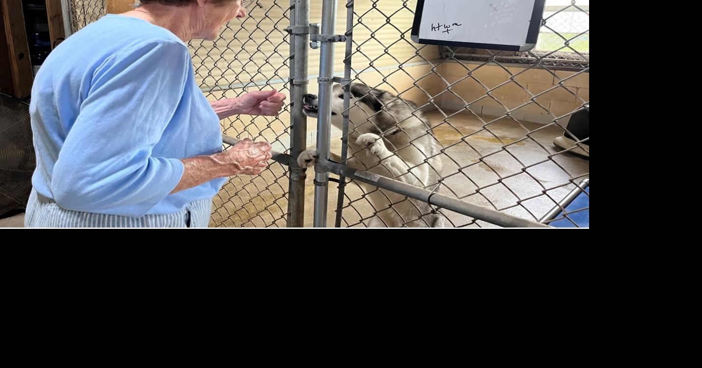 HOPE for Animals: an animal rescue service that goes beyond just saving ...