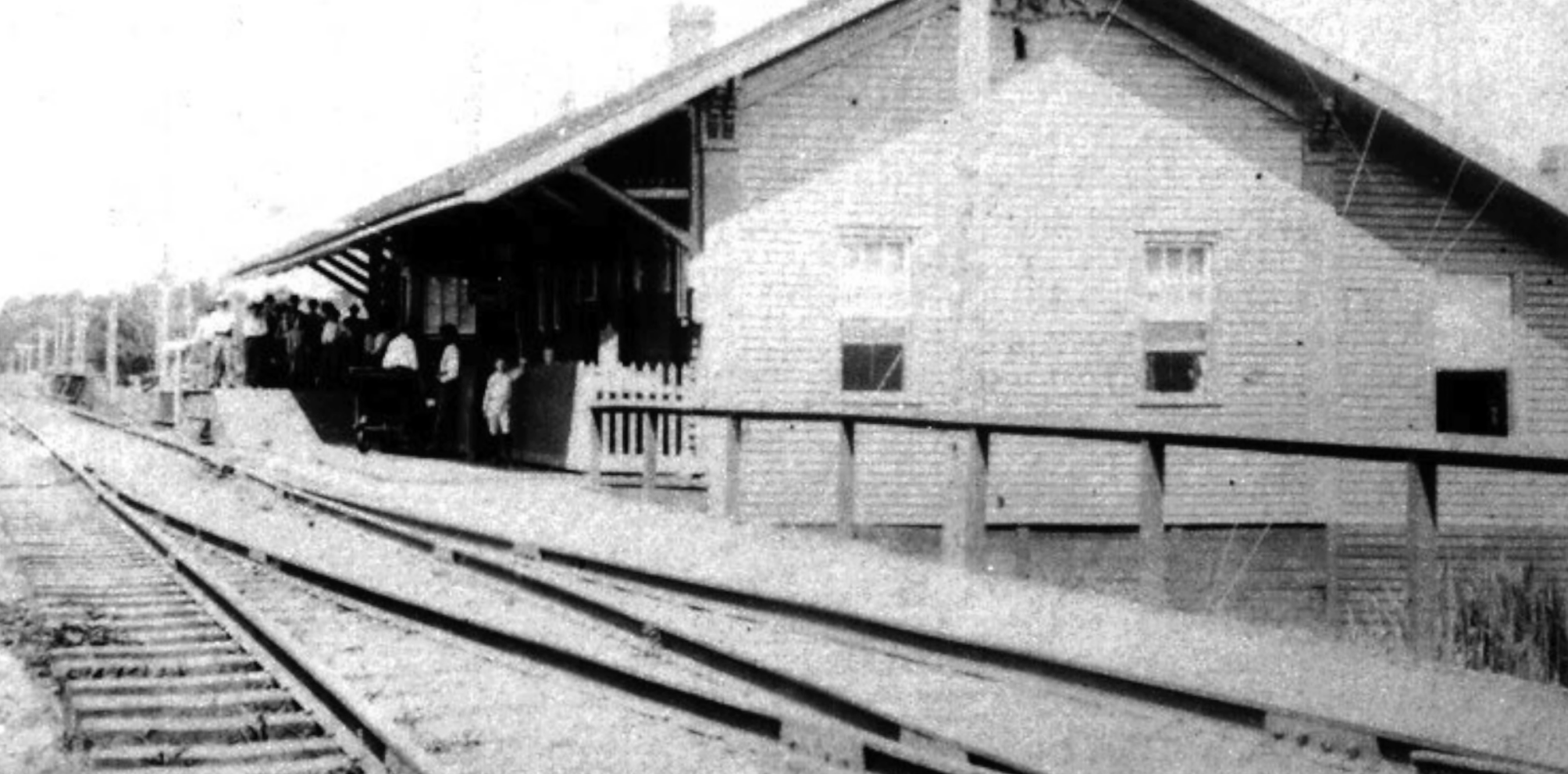 Louisiana Dread The History of Des Allemands Louisiana Dread