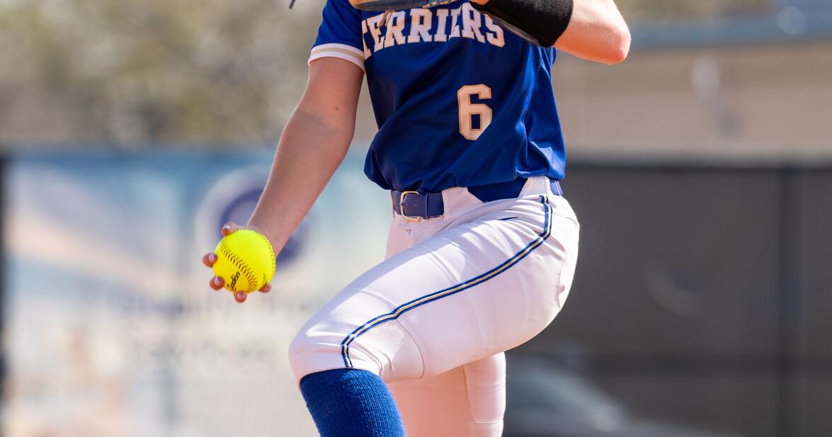 Vandebilt sweeps All-Region Baseball, Softball, MVPs and Coaches of the Year