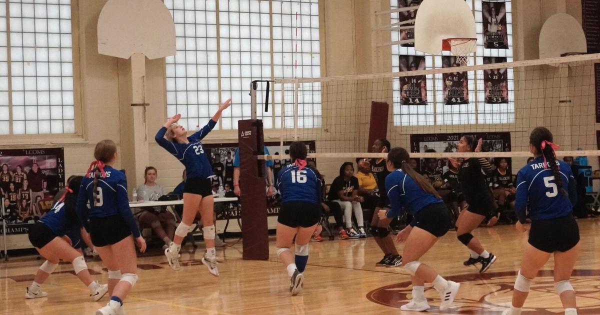 Several locals earn play in LHSAA Volleyball State Playoffs Sports