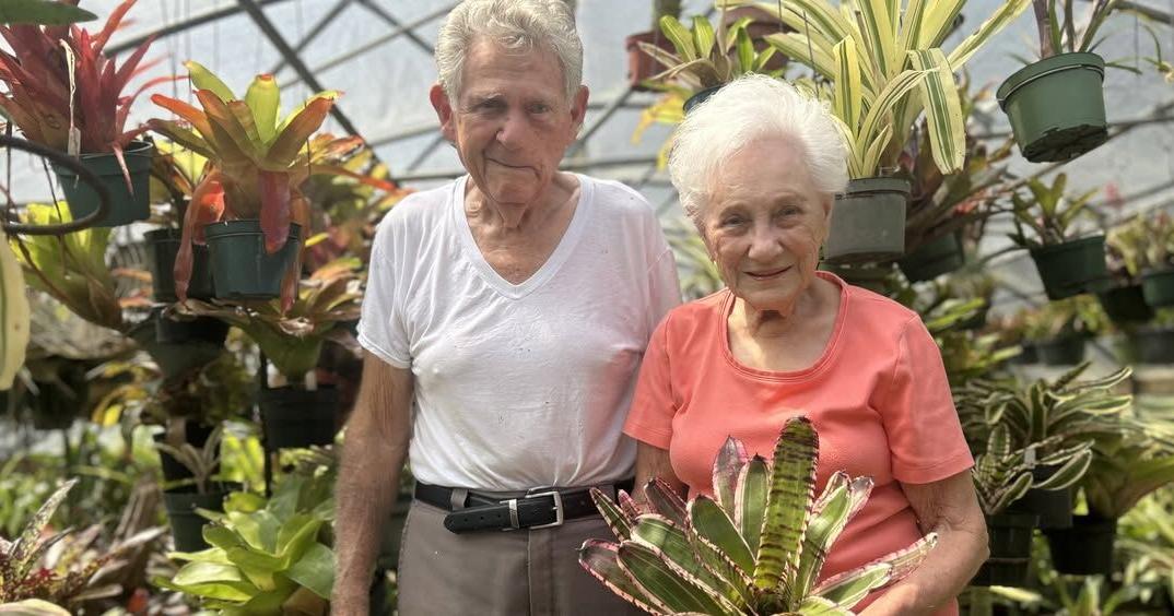 Pop-Up Bromeliad and Specialty Plant Sale Set for Feb. 27–28 in Thibodaux