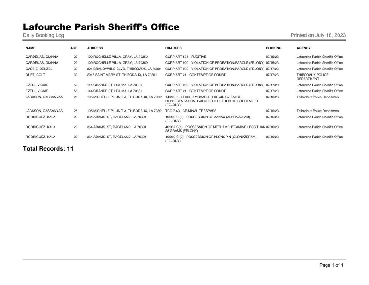 Lafourche Arrest Log July 18, 2023 Local News