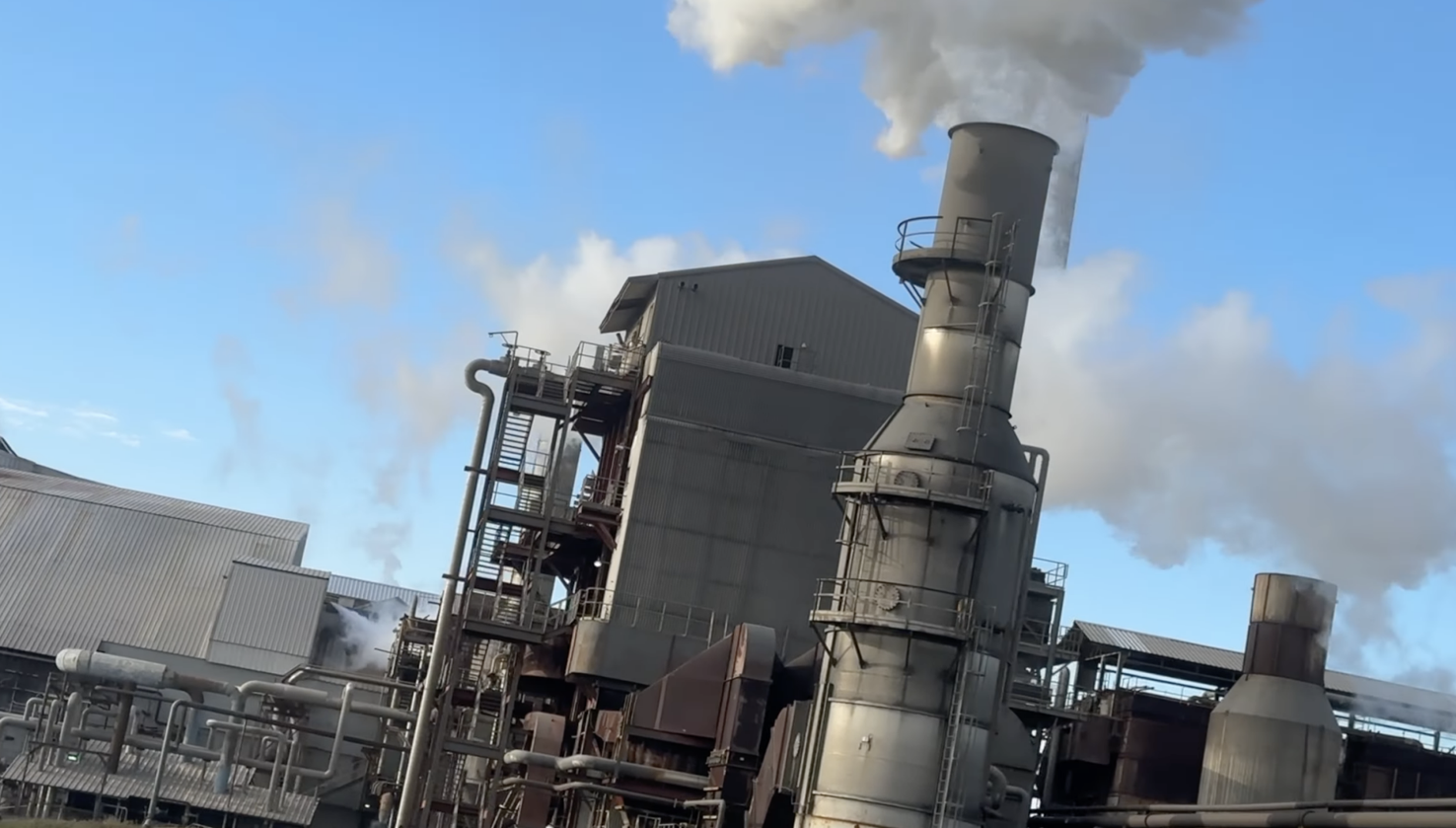 Louisiana Dread The History of Raceland Louisiana Dread