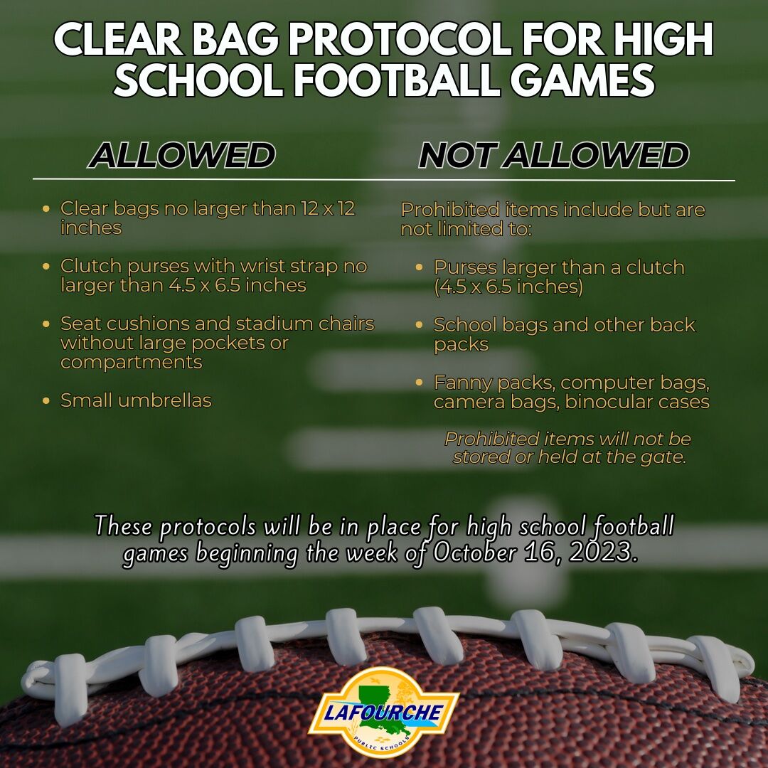 Transparent PVC Crossbody Bag Stadium Approved Clear Handbags for Festival  Games | eBay