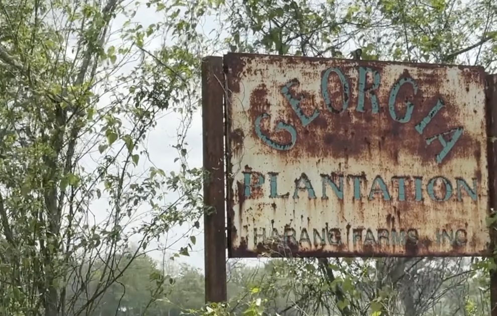 Louisiana Dread The History of Labadieville Louisiana Dread