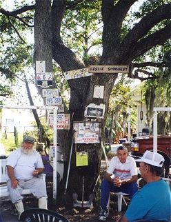 Tree.jpg