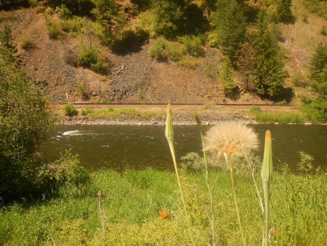 The natural world: Tempting Wallowa River redsides with flies, Outdoors