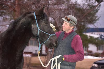 Veterinarian Mark Omann checks his horse Traveler on Jan. 28, 2021.JPG