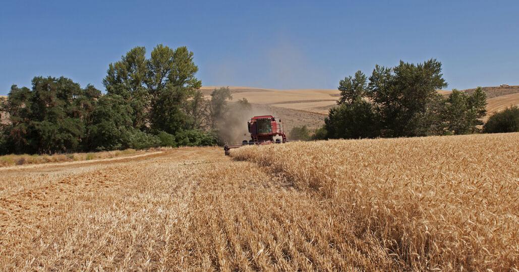 Can Oregon protect its farmland against rapid development? | State ...