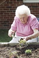 NHS-Manor Auxiliary brightens residents view with fresh plants