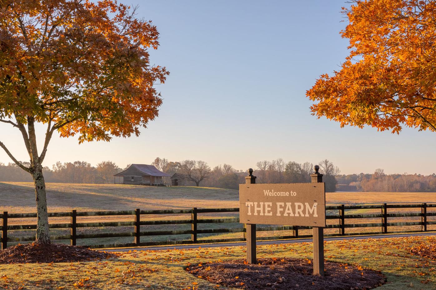 Welcome To The Farm - Fall - High Res-1.jpg