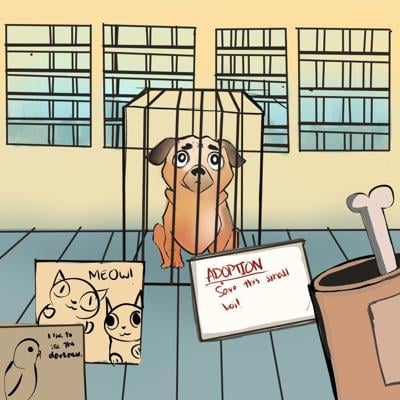 Adopt Don T Shop Opinion Laloyolan Com In this section, you will learn what. adopt don t shop opinion laloyolan com