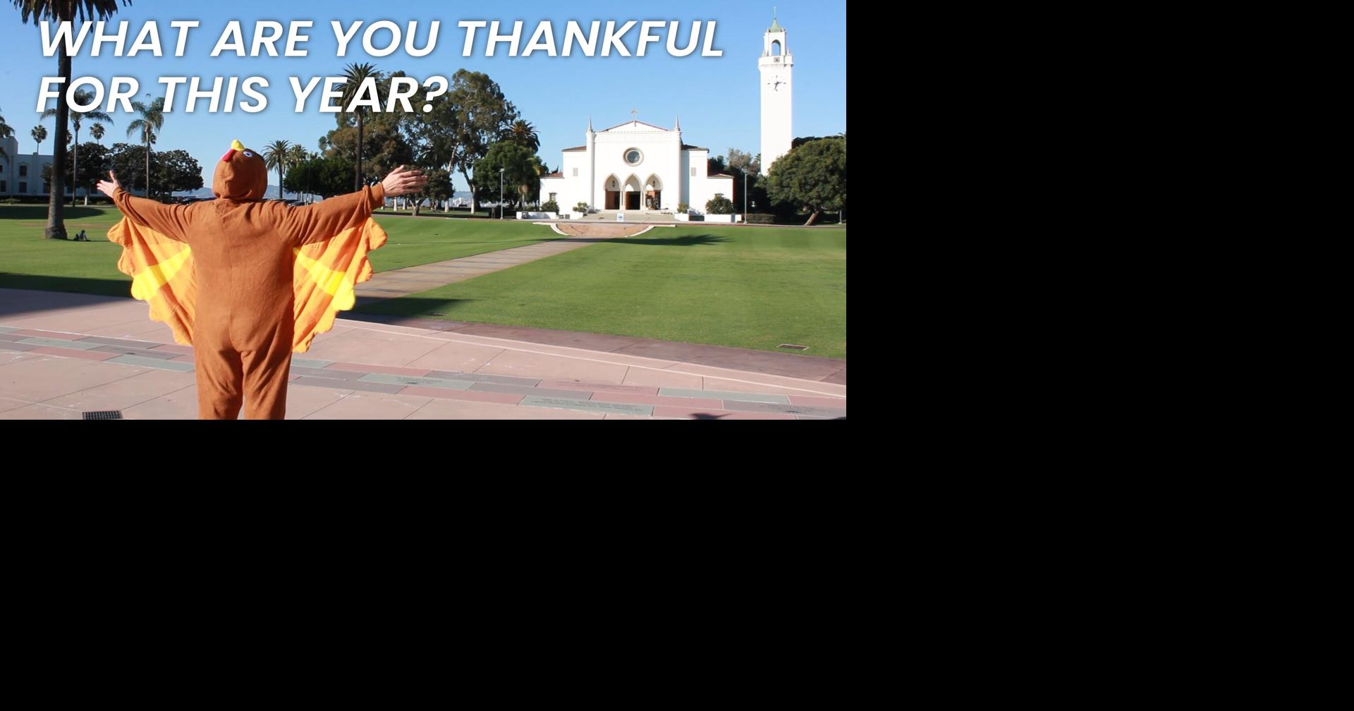 Palm Talk What are you thankful for this year? Videos