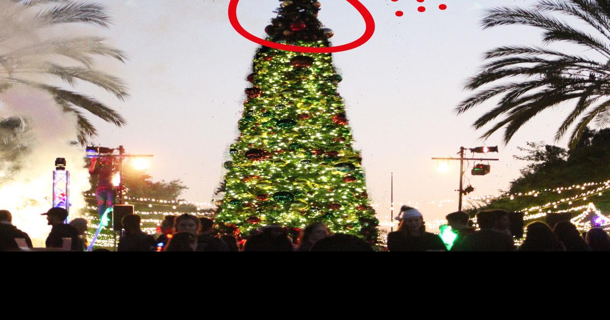 Lmu Christmas Tree Lighting 2022 Lmu Christmas Tree Missing Just The Tip | The Bluff | Laloyolan.com