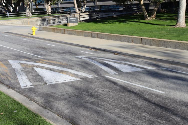 Bumpiest Bumps on campus | The Bluff | laloyolan.com