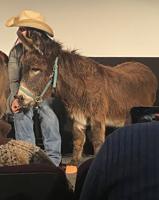LA says ‘neigh’ to conventional moviegoing experience with live donkey at "EO" screening