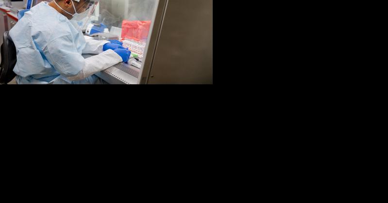 Proposed efforts to stop future pandemics also fight climate change - Vimarsana News