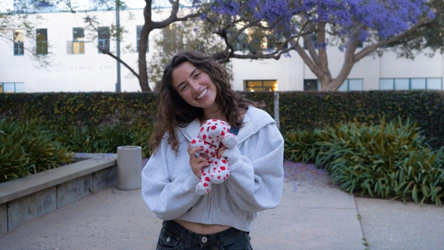 Stuffing the stigma: Stuffed animals across campus | Galleries ...