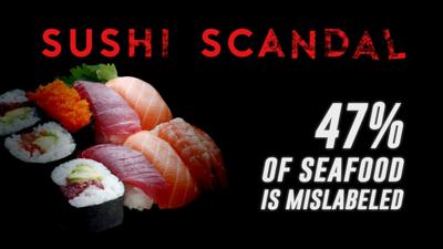 Sushi scandal; LMU professor contributes to new research News