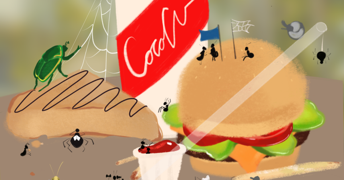 Spring Cartoon Bugs